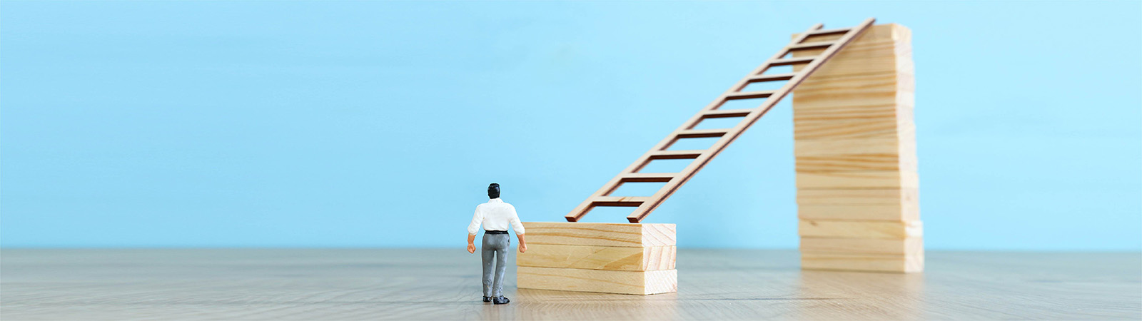 Prowess Insurance Brokers Mission vision banner image