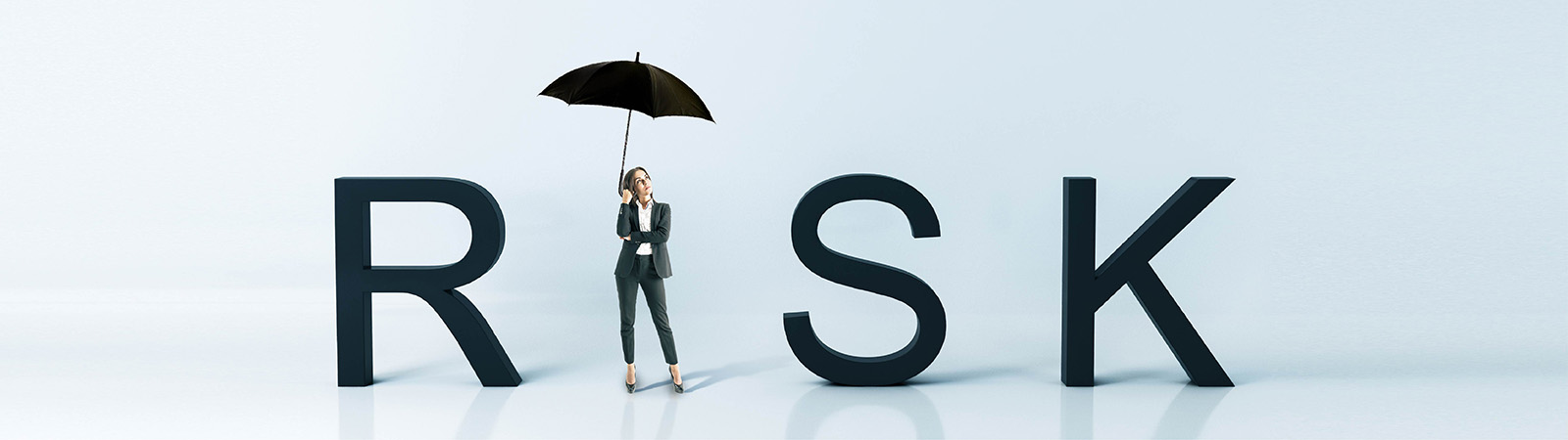 Prowess Insurance Brokers risk insurance banner image