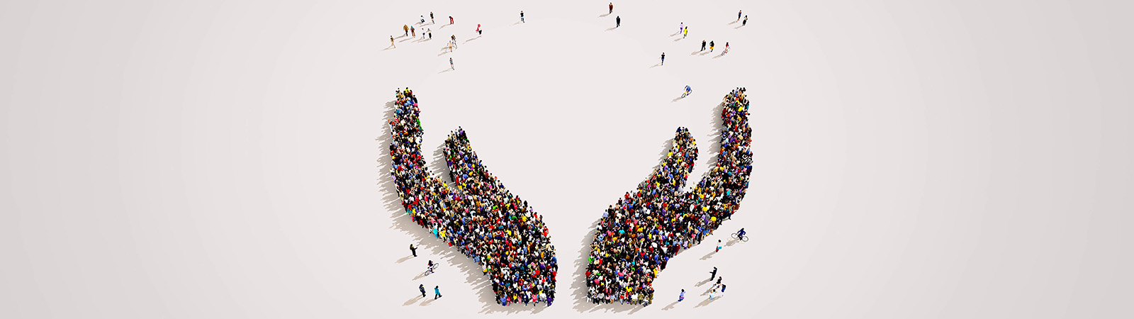 Prowess Insurance Brokers who we are banner image